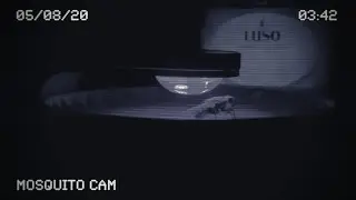 Casa inteligente contra insectos voadores!