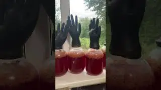 Малиновая наливка.