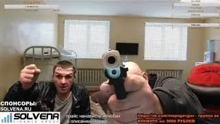 выстрел в мопса из травмата в голову