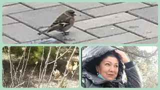 #Кусары/Укусы оздоровления😬