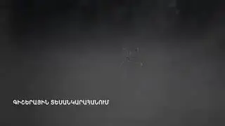Գիշերային պատժիչ գործողություններ