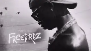 Lil Double 0 "Stay Down" [Visualizer]