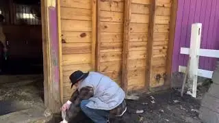 241109 Teamsters Day Part One -Goldy's Farm (FB 0840)