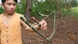 Creative Amazing Bird Trap to Catch Bird in the Forest Work Very Well