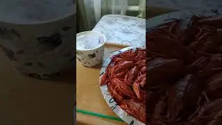 #раки #пиво #актив #отдых