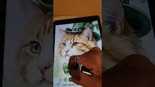 Paint time 
