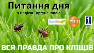 Питання дня - Вся правда про кліщів🦟