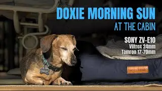 Harley Relaxing Cabin Morning - ZV-E10