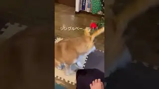 i just want the food 🤣🤣🤣