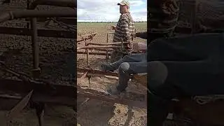 Ножницы для Арбуза