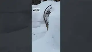 Прошлой зимой было много снега!    