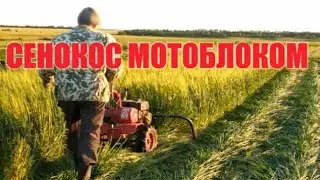 Haymaking and a walk-behind tractor with a rotary mower 