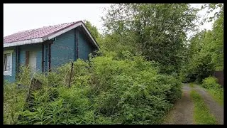 Beautiful Village Life, Russian Countryside Walk & Nature Sound JUNE 15, 2023