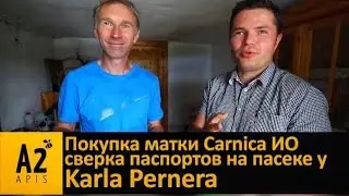 #Карника