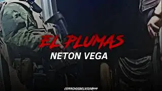 El Plumas - Neton Vega| Estudio (Corridos 2024)