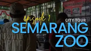 Grebek Semarang Zoo Terlalu Pagi || Dokumentasi Video