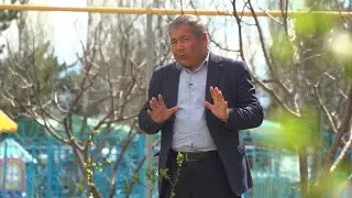 Не сажайте саженцы, пока не посмотрите это видео