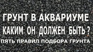 Грунт в аквариуме , каким он должен быть?