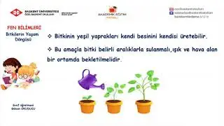22 -  bitkilerin Yaşam Döngüsü