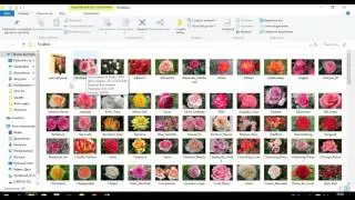 База данных растений для программы Printack
