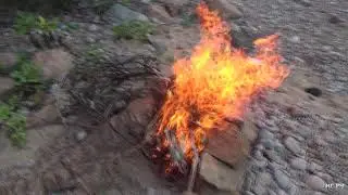 Бухта Лашкевича