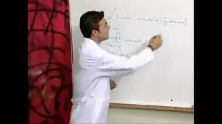 Ne dediği anlaşılmayan İngilizce öğretmeni