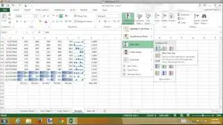 Int Excel 2.5 Sparklines & Data Bars