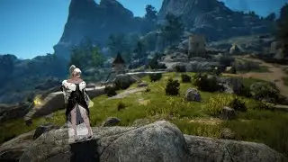 Black Desert \ Новые ивенты \ смотрим что заехало