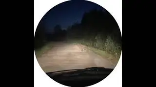 Зайчонок