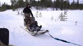 Siberian Husky Sledding in Murmansk , Northern Russia