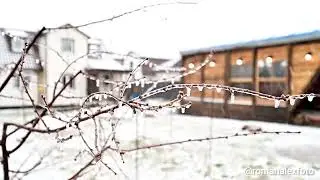Немного о погоде 03.04.2024 в Лен.области