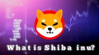 What Is Shiba Inu Coin? (Shib) Shiba inu Explain | Shiba inu | Animation Explain