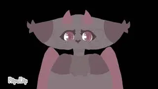 test owo