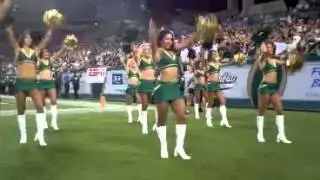 2013 - 2014 USF SunDolls - Liliana