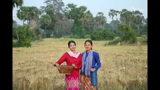 beautiful girls' rainy season rice harvest/Daily clips