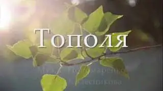 Тополя - Игорь Филатов