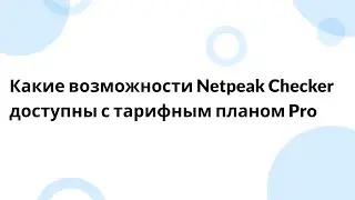 Какие возможности Netpeak Checker доступны с тарифным планом Pro?