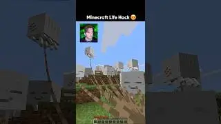 Trying Minecraft's best Life Hack ! 😍