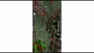 Как быстро выростить дерево
