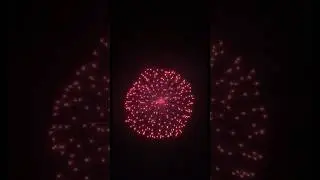 Peony 🥥 #fyp #shorts #explore #shortvideo #crazy
