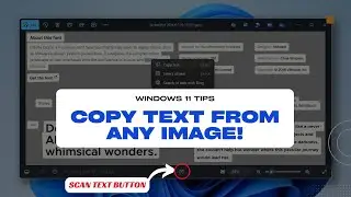 Stop Typing! Windows 11 Can Now Copy Text From Images Instantly
