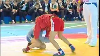 16 ноября 2015 года в Сочи отметили 77 День самбо