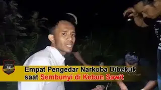 Empat Pengedar Narkoba Dibekuk saat Sembunyi di Kebun Sawit