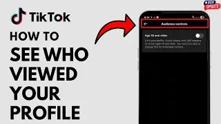 How to See Who Viewed Your TikTok Profile - Full Guide