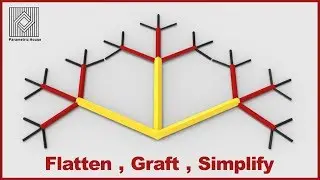 Flatten - Graft - Simplify - Grasshopper Tutorial