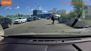 Завокзальная Екб. бегают по дороге как у себя дома.