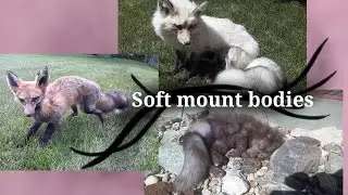 Soft mount bodies (fully poseable, leg only, boned, and limp)