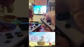 Playing Super Mario Bros Wonder with One-hand