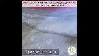 Шустушуи колинхо