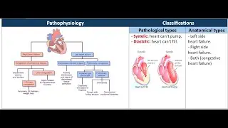 Heart failure - Clinical pharmacy - Dr Menna Hazem
